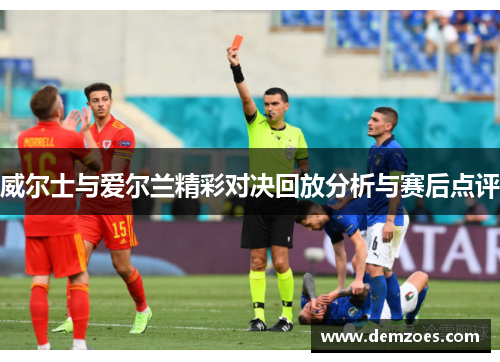 威尔士与爱尔兰精彩对决回放分析与赛后点评