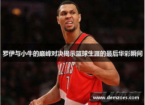 罗伊与小牛的巅峰对决揭示篮球生涯的最后华彩瞬间